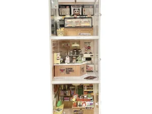 rolife miniature house display box